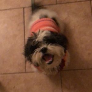 Meet your Posher, Kayla